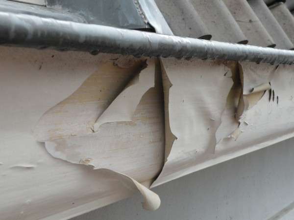 Koster Gijzensteeg Gouda; totaalonderhoud - augustus 2010